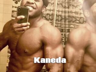 kaneda The hot porn