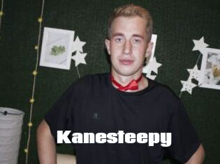 Kanesteepy