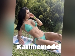 Karimemodel
