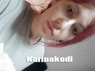Karinakodi