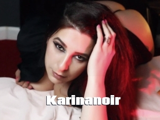 Karinanoir