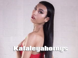 Kataleyahornys