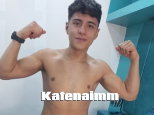 Katenaimm