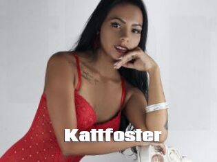 Kattfoster