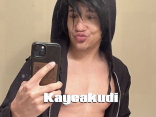 Kayeakudi