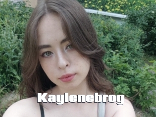 Kaylenebrog
