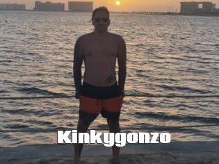 Kinkygonzo