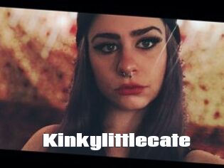 Kinkylittlecate