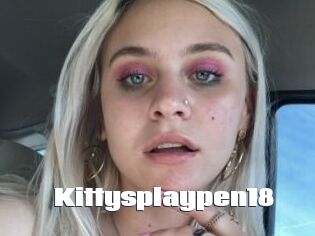 Kittysplaypen18