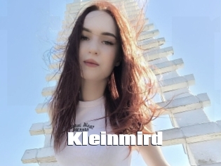Kleinmird