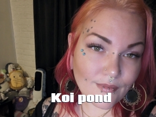 Koi_pond