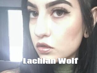 Lachlan_Wolf The hot porn