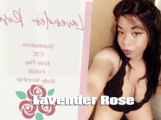 Lavender_Rose