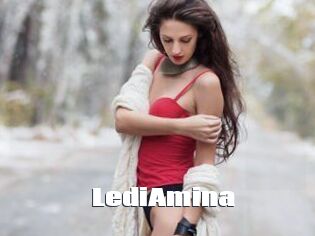 LediAmina