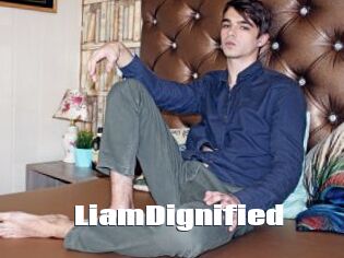 LiamDignified