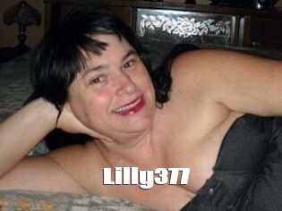 Lilly377