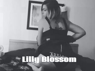 Lilly_Blossom