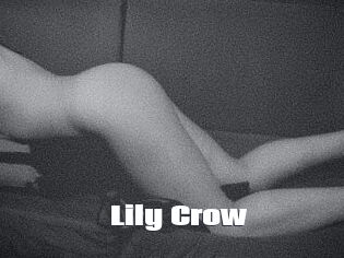 Lily_Crow