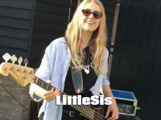 LittleSis