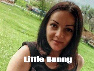 Little_Bunny_