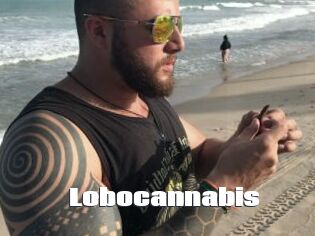Lobocannabis
