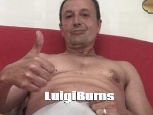 LuigiBurns