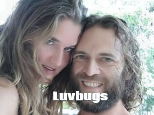Luvbugs
