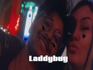 Laddybug