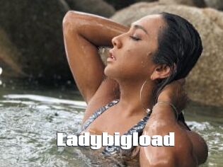 Ladybigload