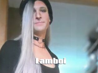 Lamboi