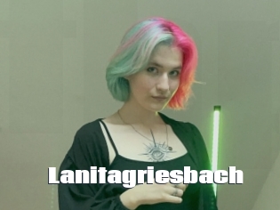 Lanitagriesbach