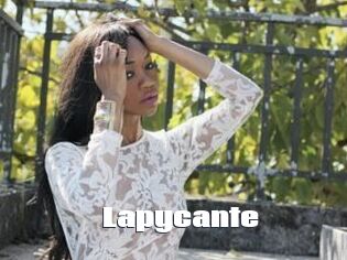 Lapycante