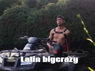 Latin_bigcrazy