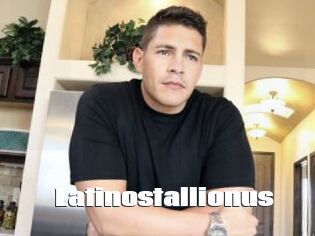 Latinostallionus