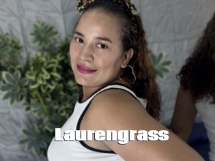 Laurengrass