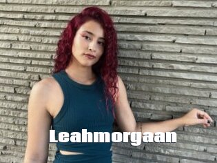 Leahmorgaan