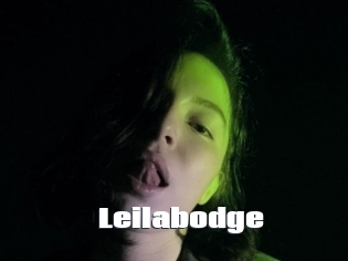 Leilabodge