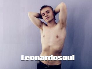 Leonardosoul