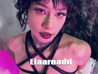 Liaaroadd
