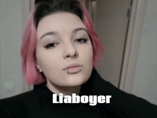 Liaboyer