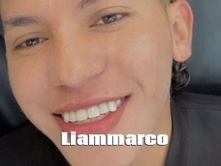 liammarco The hot porn