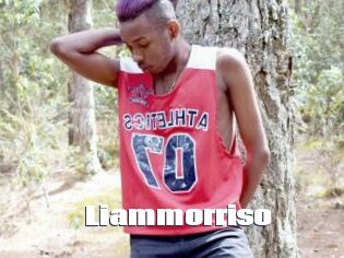 Liammorriso