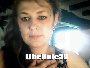 Libellule39