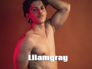 liiamgray The hot porn