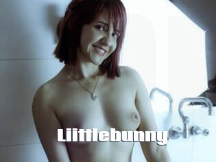 Liittlebunny