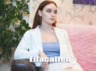 Lilacatten