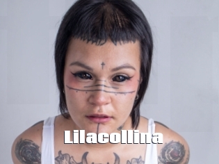Lilacollina