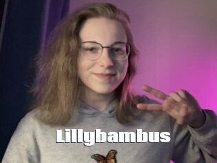 Lillybambus