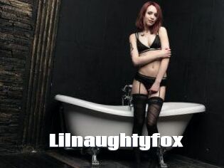 Lilnaughtyfox