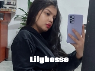 Lilybosse